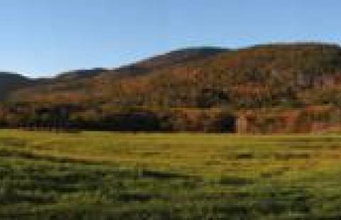 whitney farm panorama 