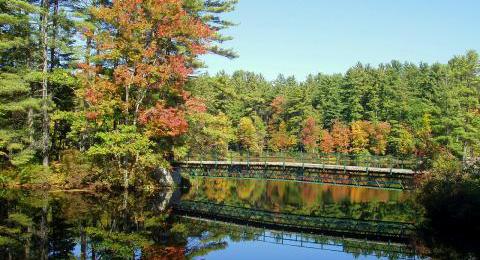 bridge over water