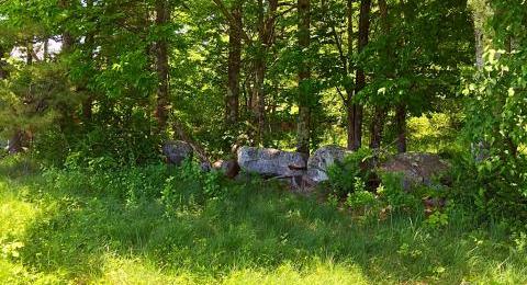 rocks and grass