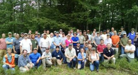 group of licensed foresters