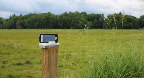 phone taking picture of field