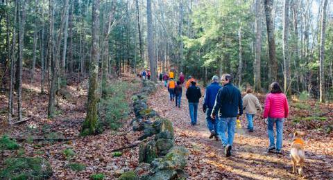 people on a nature walk in the woods