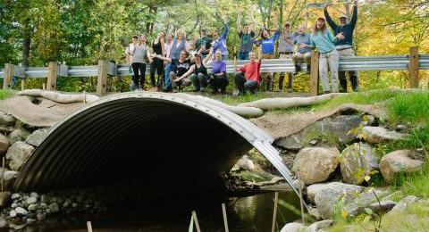 stream crossing