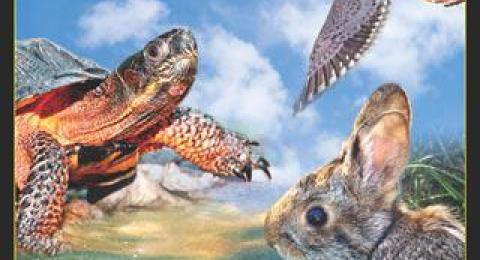 Wildlife Action Plan cover