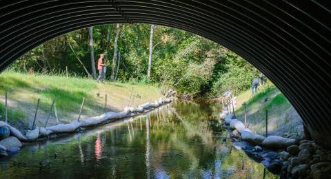 wildlife friendly stream crossing