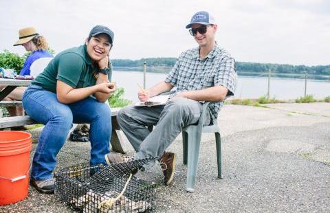 people doing oyster restoration