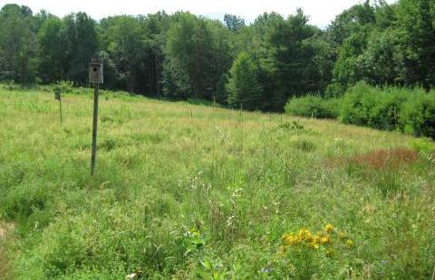 conserved land in Laconia, NH