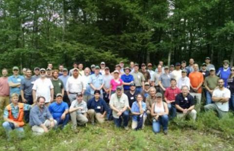 group of licensed foresters