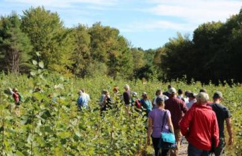 people walking through a field