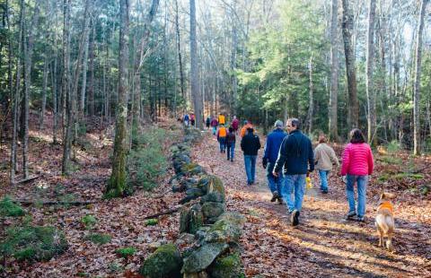 people on a nature walk in the woods