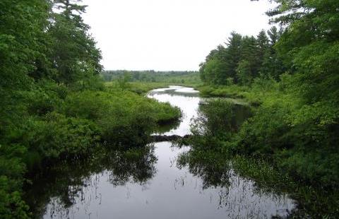 Stream Buffer Isinglass River, Strafford