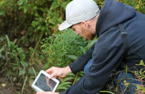 A man takes part in the BioBlitz in the woods.