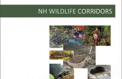 NH Wildlife poster