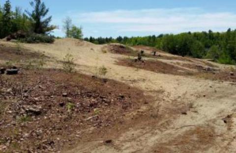 removed vegetation from sand and gravel pit site
