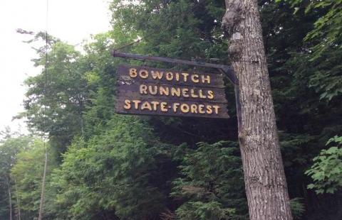 Bowditch Runnells state forest