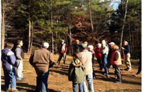 Andover Wildlife Walk in November, 2013