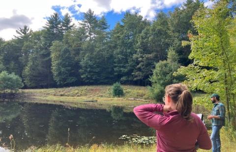 Professionals assessing a wetland habitat