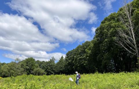 Volunteer standing with net in field