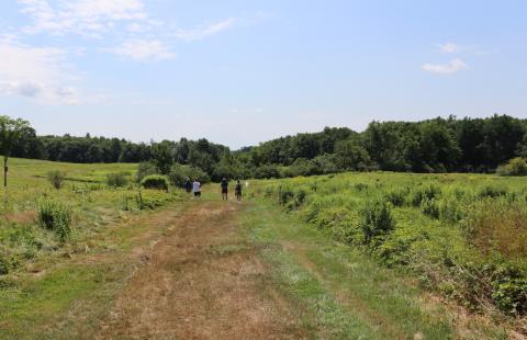 NH Butterfly Monitoring Volunteers surveying a field.