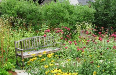 Pollinator garden featuring a diversity of flowering plants and shrubs to benefit wildlife