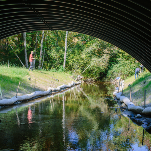 stream under wildlife friendly bridge