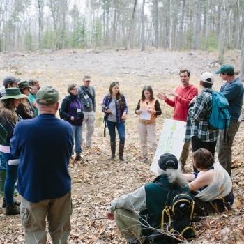 conservation organization in the woods