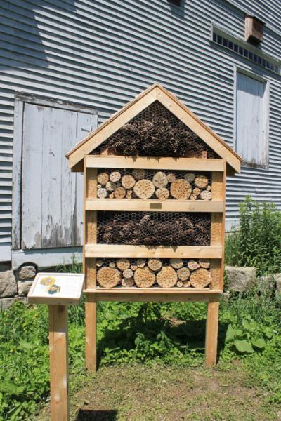 Bee hotel