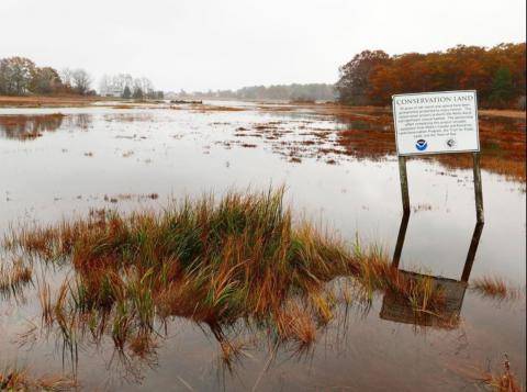 Flooding