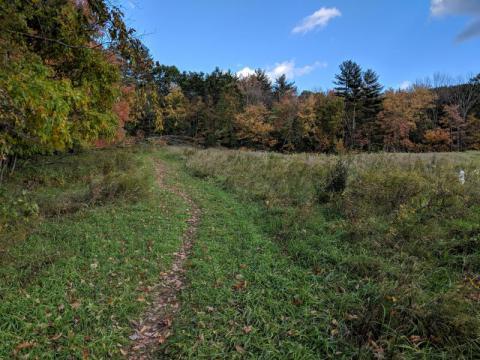 Amherst's Joppa Hill Farm property