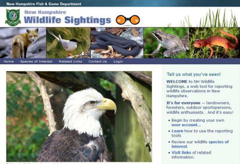 The NH Wildlife Sightings homepage
