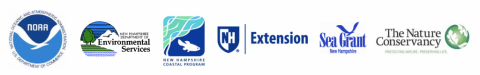 Project Logos