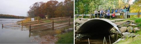 Living shoreline and stream restoration