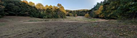 Sky Meadow