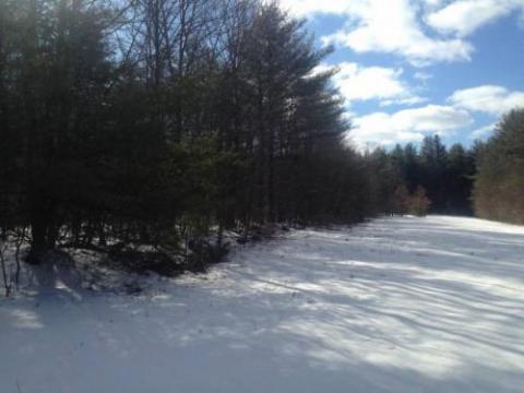 small field