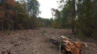 Split Rock after logging