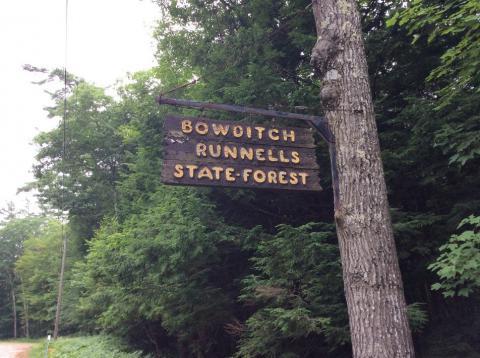 Bowditch Runnells state forest