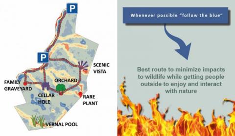 heat map