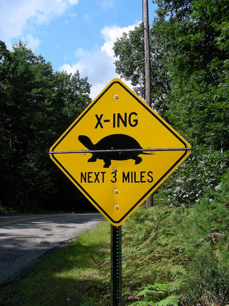 Turtle crossing sign