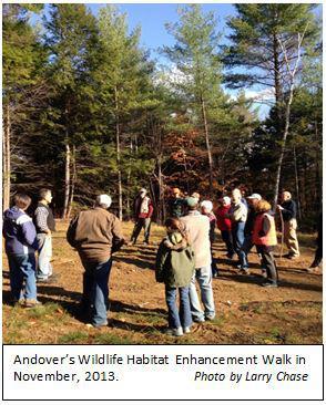 Andover Wildlife Walk in November, 2013