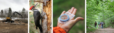 Series of photos showing habitat management, pileated woodpecker, compass in hand, and group of people in the woods.