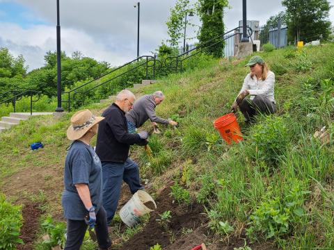 Volunteers planting pollinator habitat