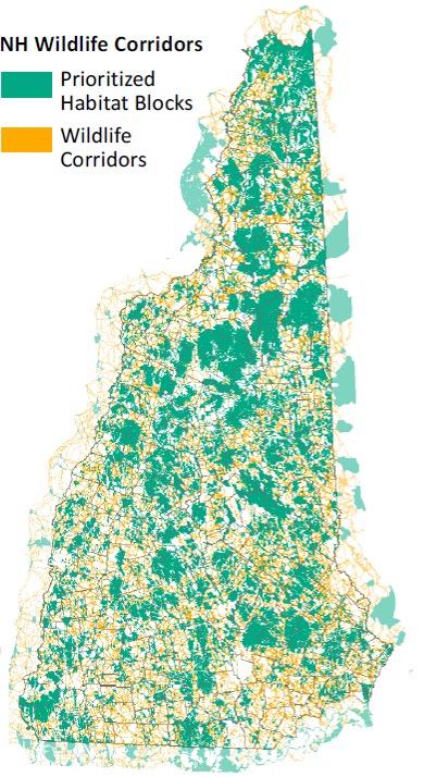 NH Wildlife Corridors Map