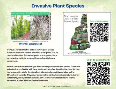 Invasive plant species sign