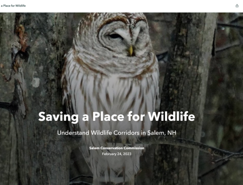 Screenshot of Story Map focused on wildlife corridors in Salem, NH