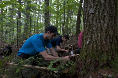 UNH researcher Ryan Stephens hunting for truffles