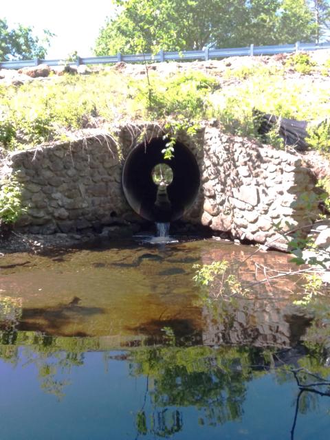 One of the Bartlett Brook culverts prior to construction work. The waterfall at the outlet of the pipe is about 18 inches high, and a barrier to fish.