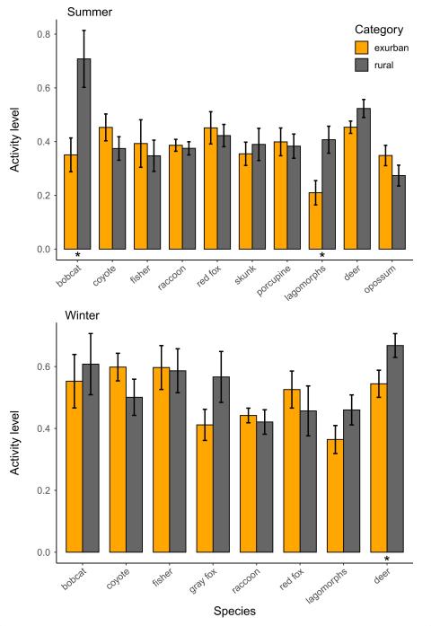 Activity levels in rural and exurban areas during summer (top) and winter (bottom) for our study species. 