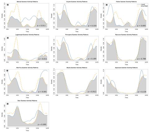 Activity patterns for our study species during the summer in rural and exurban areas.