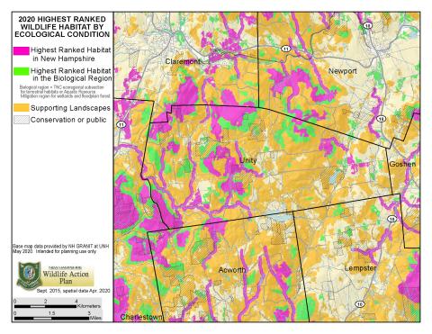 NH Wildlife Action Plan ranked map for Unity, NH