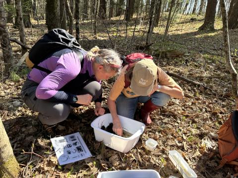 Workshop participants explore some of the incredible discoveries made at a local vernal pool.